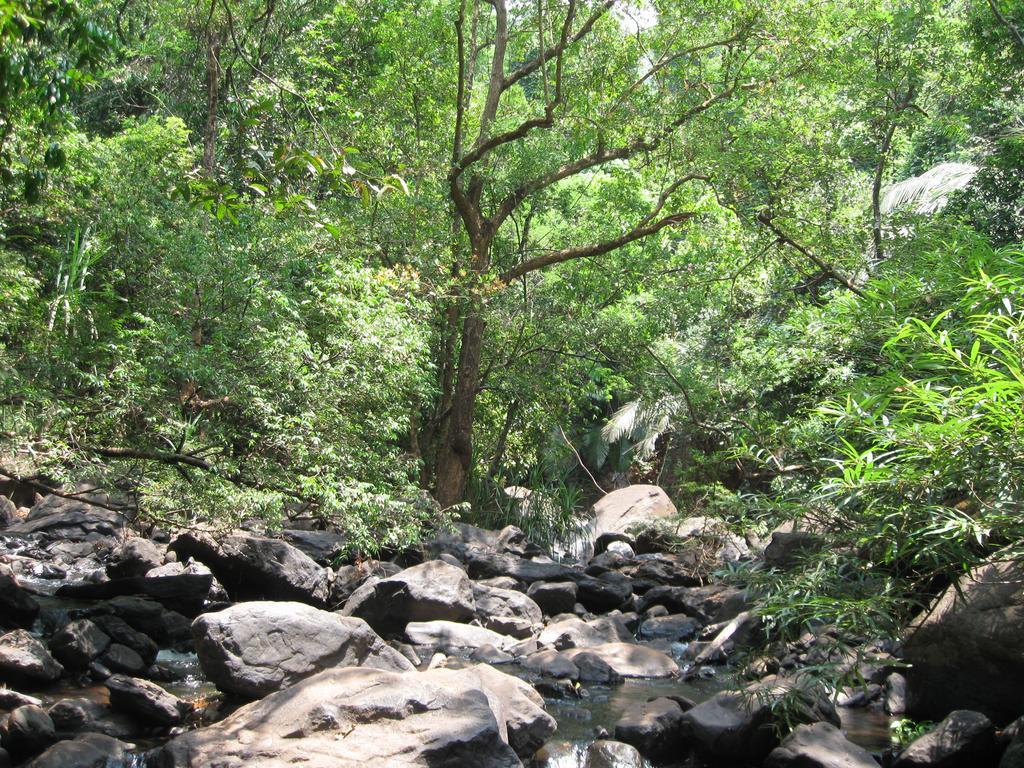 Dudhsagar Plantation Βίλα Cormonem Εξωτερικό φωτογραφία