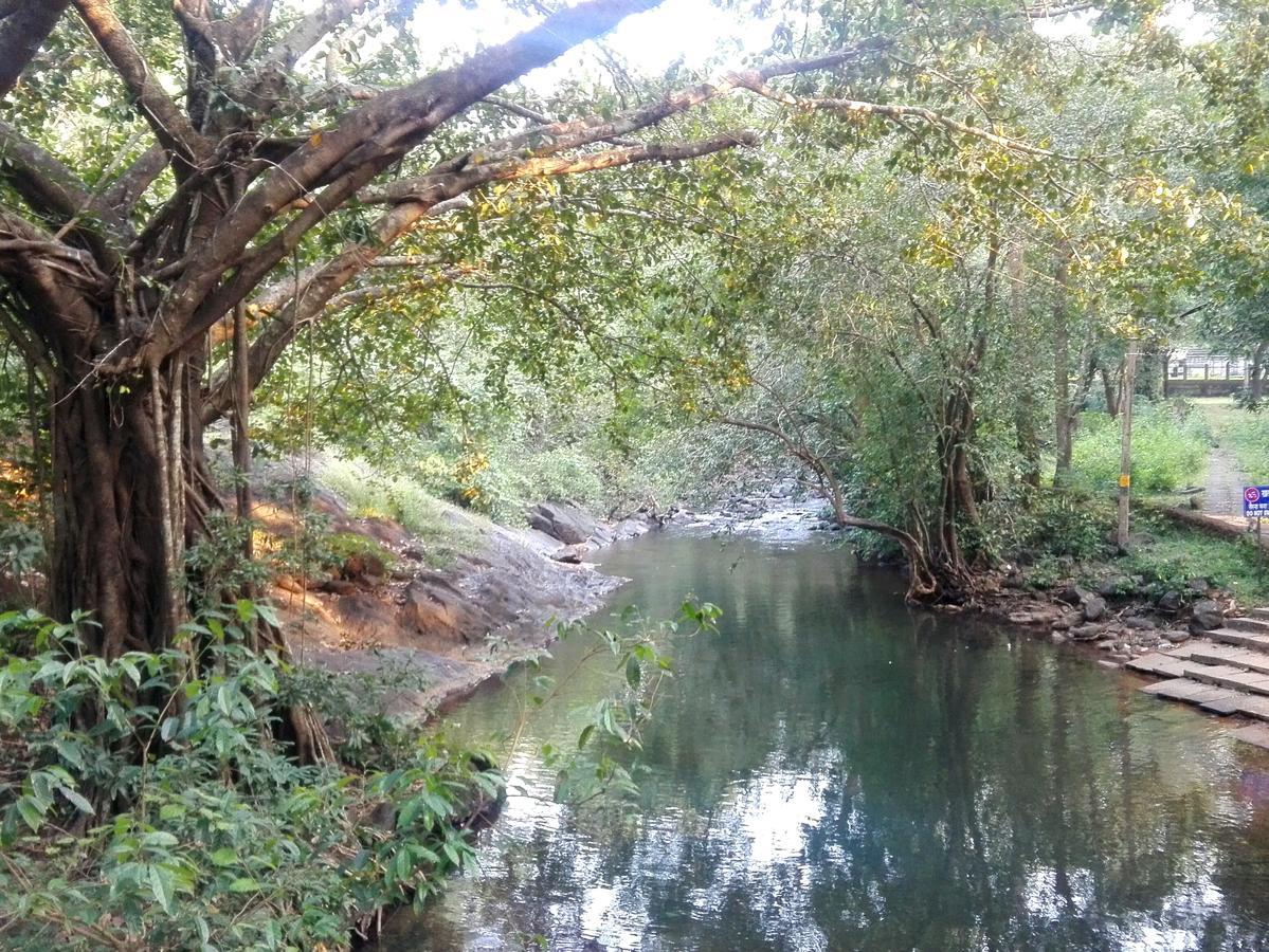 Dudhsagar Plantation Βίλα Cormonem Εξωτερικό φωτογραφία