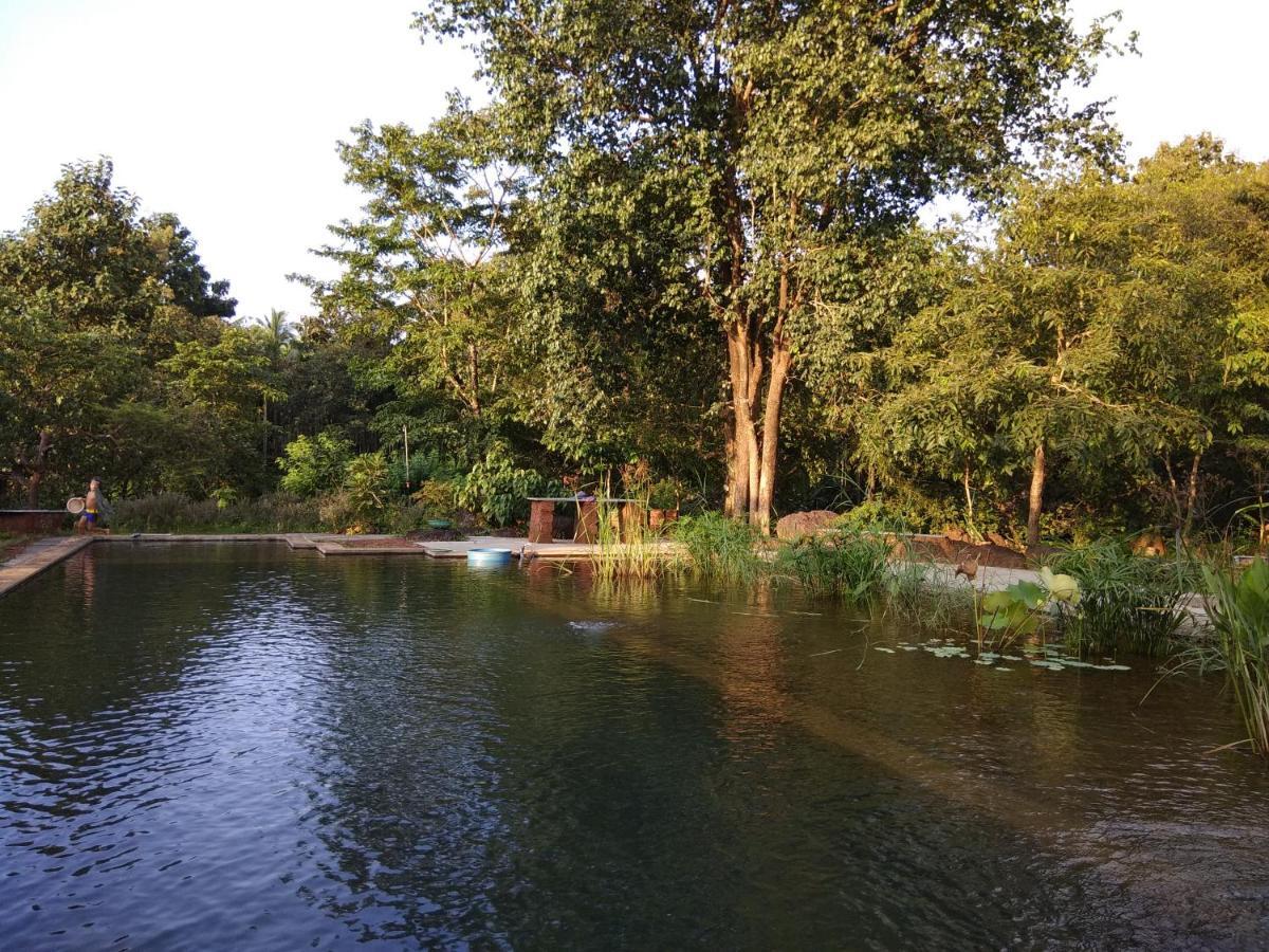 Dudhsagar Plantation Βίλα Cormonem Εξωτερικό φωτογραφία